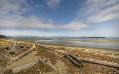Premier Attractions in Parksville: A local’s guide for adventure