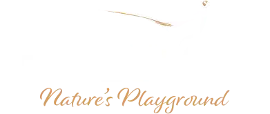 Pheasant Glen logo